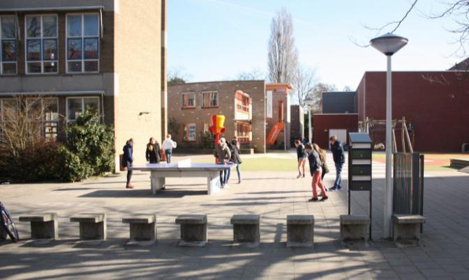 Uitvoeringstechnisch zijn deze platanen alleen rechtstandig en binnen het plangebied te verplanten. Dit vanwege de kluitgrootte van 4x4m en de (al teruggesnoeide) kroonbreedte van 9m.