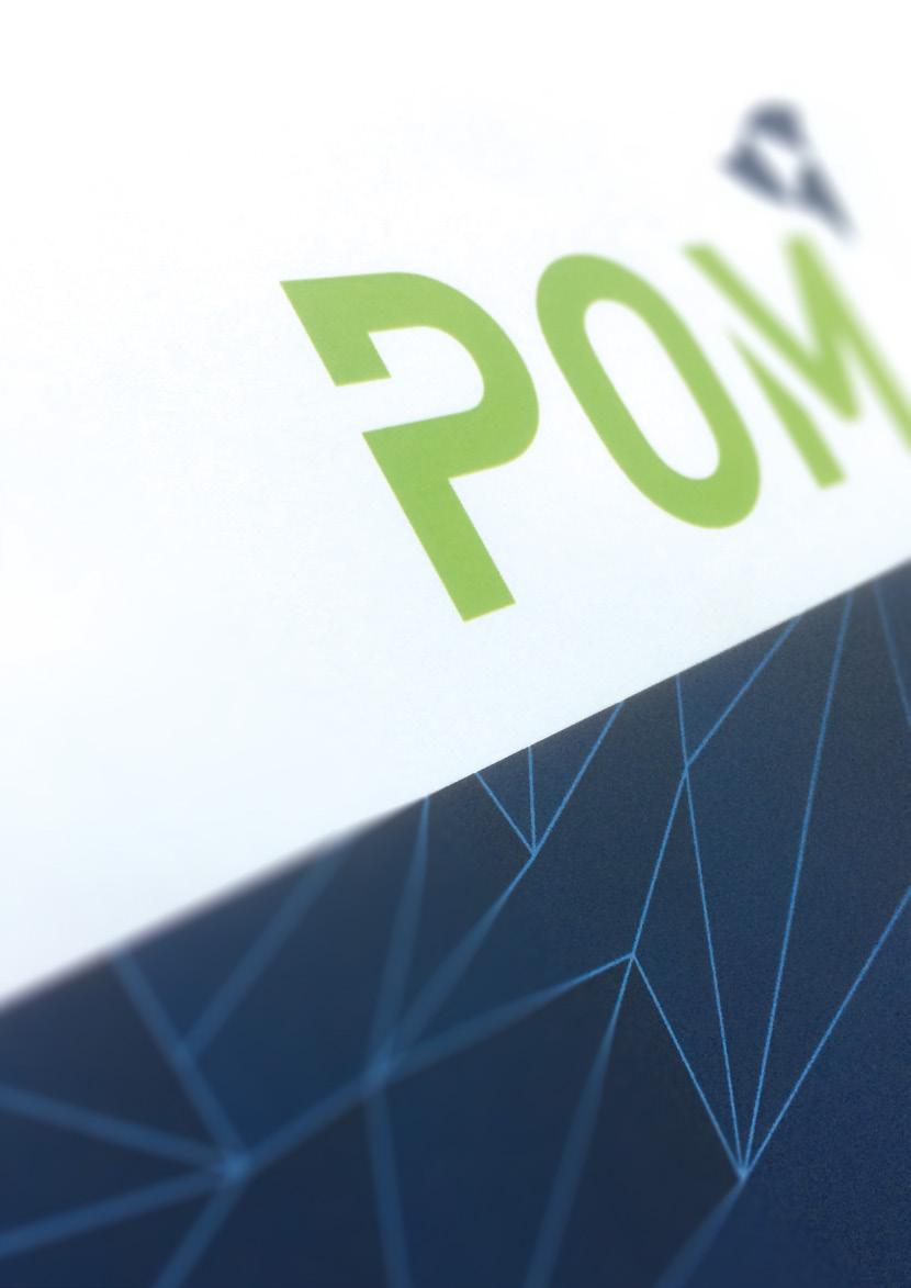 De POM West-Vlaanderen De POM West-Vlaanderen is een verzelfstandigd agentschap dat het sociaaleconomisch beleid van de Provincie uitvoert.