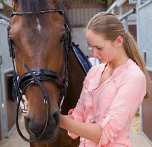 Animal Vakbekwaam medewerker paardensport en -houderij Niveau 3 Duur: 3 jaar Leerweg: BOL: Ja / BBL: Nee Toelatingseisen: Vmbo-diploma van de kaderberoepsgerichte -, gemengde - of theoretische