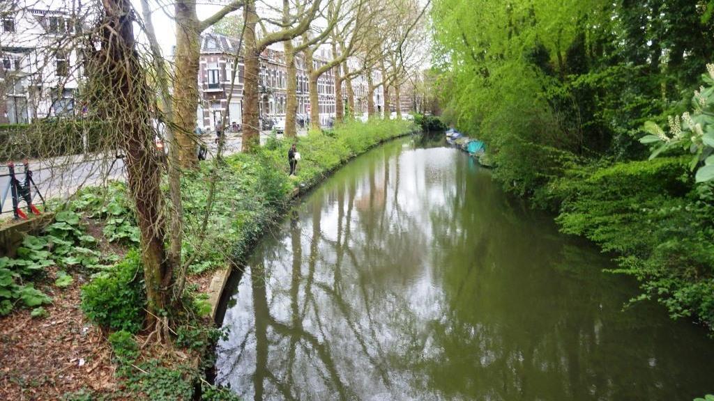 De Biltse Grift is een stadswater in de wijk Witte Vrouwen en ligt in het oostelijk deel van het centrum van de stad Utrecht. Het water is ongeveer tien meter breed en één meter diep.
