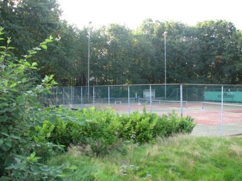Over onze vereniging Tennisvereniging De Witte Schare in Schaijk is opgericht op 5 februari 1974 en is sindsdien een gezellige vereniging met een grote maatschappelijke functie in Schaijk.