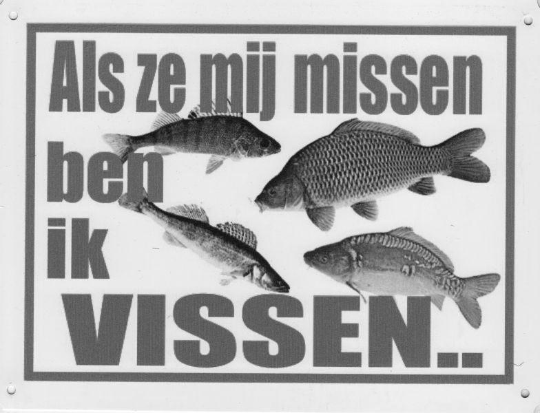 Openstelling visvijver van Hengelsportvereniging de Polder Sportvissen is één van de meest beoefende buitenactiviteiten in Nederland.