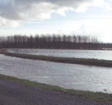 De Demer in het Hageland. 4.1 Scenario's voor een boeiende Demer De recente overstromingen in het Demerbekken veroorzaakten telkens veel materiële schade.