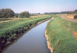 De haast volledig gekanaliseerde rivier is ongeveer 85 km lang en het verval is erg klein: tussen Bilzen en Werchter gemiddeld