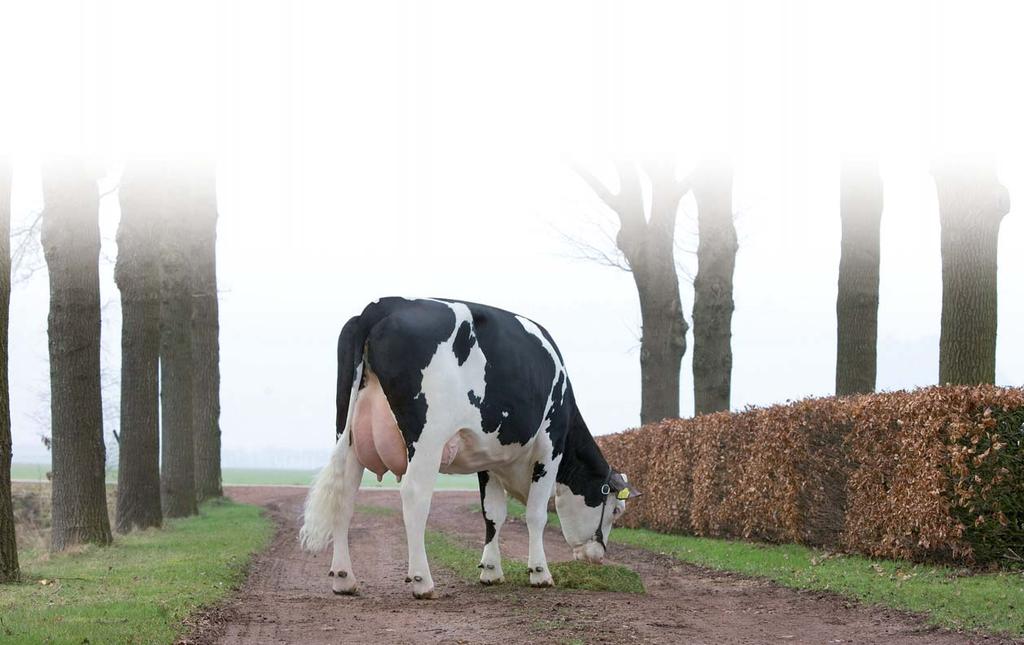 Fam. Haisma in Bakkeveen: Maatschappelijke kijk op inkruisen Als gemeenteraadslid voor de gemeente Opsterland staat Rinse Haisma uit Bakkeveen midden in de maatschappij en hij weet als geen ander dat