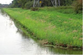 Je ziet dat er op waterpeilhoogte een zogenaamde plasberm van 2,5 meter breedte wordt gerealiseerd. Dit is een strook drassige bodem waar waterminnende planten goed kunnen gedijen.