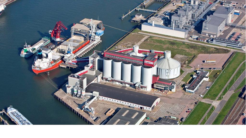 Borax N.V. werd in 1962 opgericht en aan het eind van dat jaar ging de eerste paal in de grond. Er werden 10 silo s van 3.000 ton, een grote loods en een opzakgebouw neergezet.
