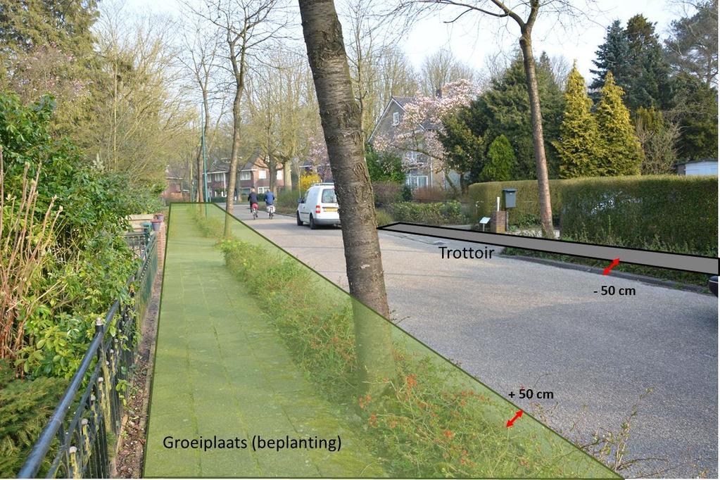 Oplossingsrichtingen a) Handhaven bomen niet zinvol: vellen bomen en herinrichting Voor de bomen op traject 1, 3 en 4 geldt dat handhaven niet zinvol is.