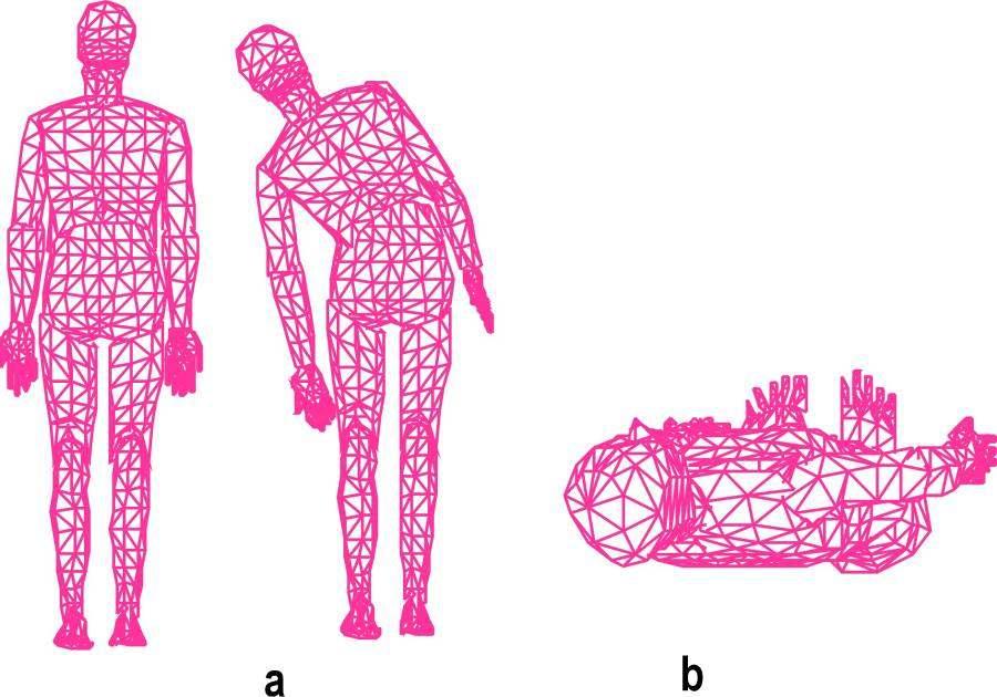 In figuur 3a en b wordt een zo zuiver mogelijke lateraalflexie uitgevoerd. Ook hierbij wordt er op toegezien dat het bekken niet meebeweegt en dat de romp niet tegelijkertijd andere bewegingen maakt.