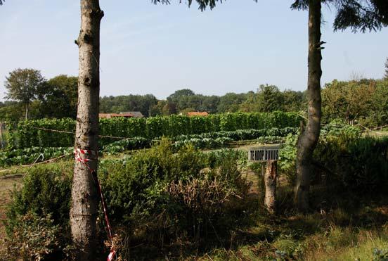 Het plangebied heeft geen beschermde status in het kader van de Vogelrichtlijn, Habitatrichtlijn of de Natuurbeschermingswet 1998 en is niet gelegen in de Ecologische Hoofdstructuur (EHS).