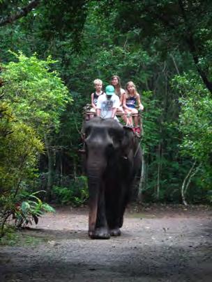 Elephant Hills Thailand zomer 2017 O Olifanten Olifanten zijn het nationale symbool van