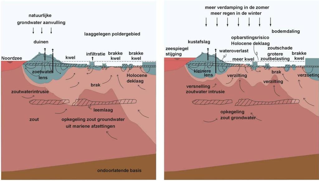 Figuur 5.24 Vereenvoudiging van het regionale grondwatersysteem in het kustgebied: a. huidige situatie, inclusief grondwateronttrekkingen en b.