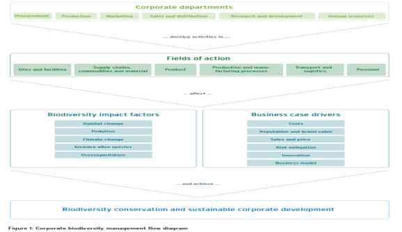 2 19 Een organisatie Haar structuur en het afstemmen van biodiversiteit WIE? WAAR? Afstemmen Stolp WAAROM?