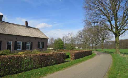 Kenmerkend voor broeklanden is de aanwezigheid van veel water.