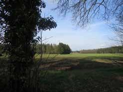 De beken lopen van het vanuit het hogere landgoederenlandschap richting de IJssel en voegen zich naar het landschap.