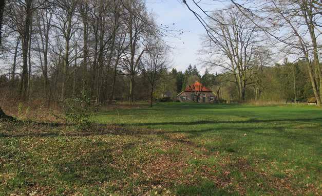 ontginning - Kleinschalig agrarisch karakter - Halfopen tot besloten ruimtelijk karakter - Vaak omring door houtwallen waardoor ze als open kamers in het landschap liggen - Licht bollend maaiveld -