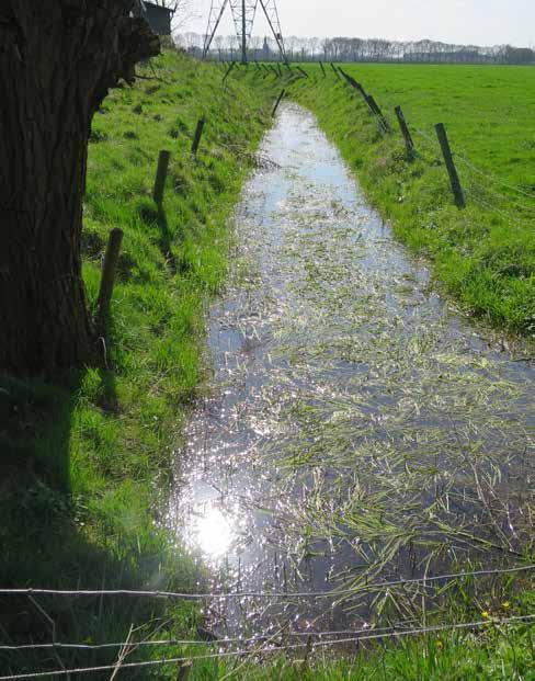 Ambities en bouwstenen Voor ontwikkelingen in Nationaal Landschap De Graafschap geldt een hoge ambitie.