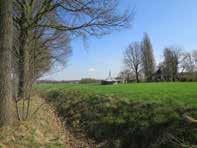 Versterk het landschap met streekeigen beplanting op erven.