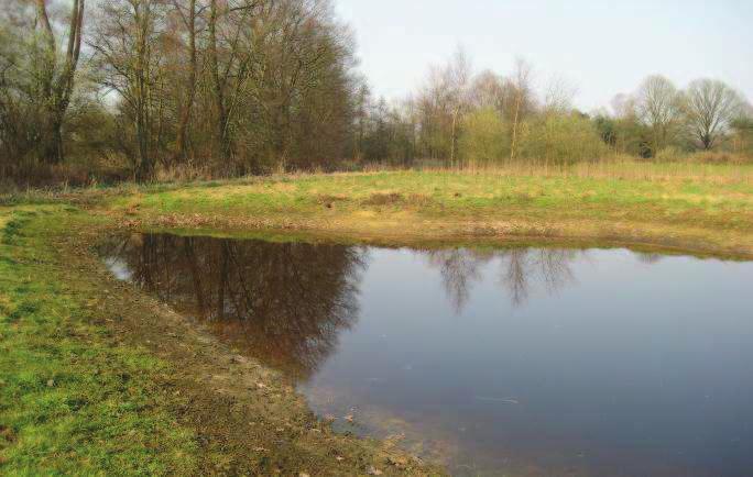 het perceel aan de Labroek.