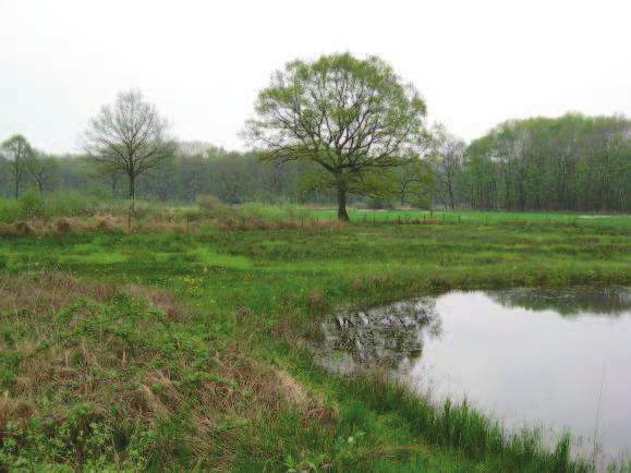 Ten zuiden van de groepsaccommodatie zullen de benodigde