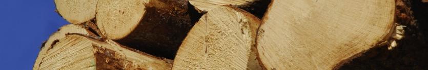 Bossen op een verantwoorde manier beheren Ons houtkapbeleid verbiedt controversiële bronnen als: Illegaal