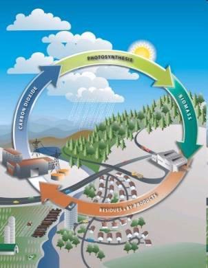 ACCRES Project Eneco / WUR Lelystad ACRRES (Application Center for Renewable RESources) Eneco, WUR Productie van biomassa (olie) voor duurzame energie