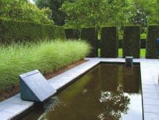 Watertuinen in Dordrecht Met het project Watertuinen in Dordrecht biedt de gemeente een aantal geïnteresseerde tuineigenaren de mogelijkheid samen met professionals een watertuinontwerp te maken.