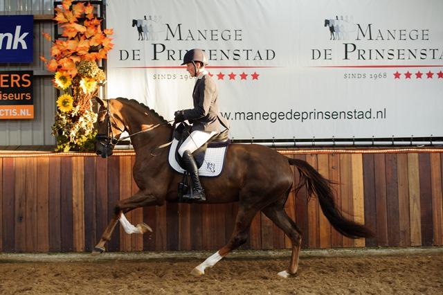 Irabel is een dochter van de bekende Darabel (Westpoint x Don Schufro) die met Vai Bruntink Intermediaire I loopt.