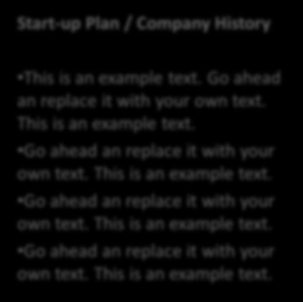 Company Description Ownership Start-up Plan / Company