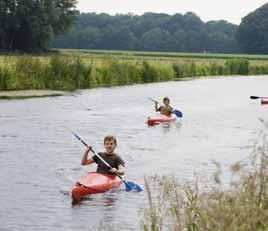 uitgevoerd: Versterken van waterminnende natuur door instellen van natuurlijk peilbeheer in polder (N2000 & KRW); Uitbreiding van natte rietoeverzones en opschonen van waterbodems (N2000 & KRW);