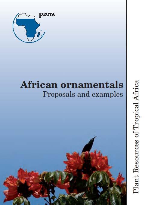 Plan van aanpak Meerjarig project Brochure African ornamentals: proposals and examples Opzetten