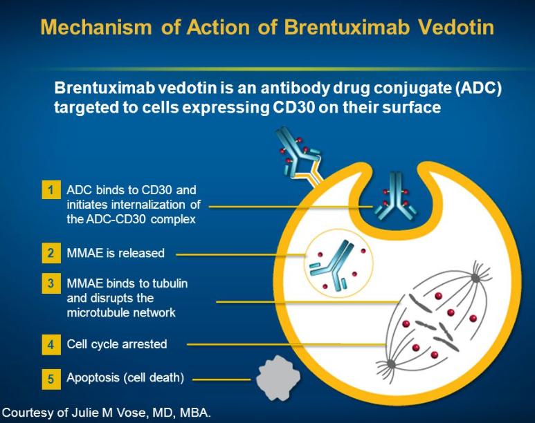 Recente ontwikkelingen: an+lichaam met chemolading An9body-drug-conjugate (ADC): B-cell speciﬁek gerichte