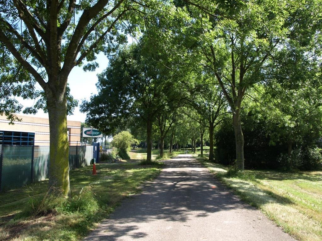 Rijnvallei terrein (verhuizing van Kerkhof) Als onderdeel van de verhuizing van het benzinestation naar de Langbroekseweg hebben we overlegd met de gemeente over de bomen die hiervoor gekapt moeten