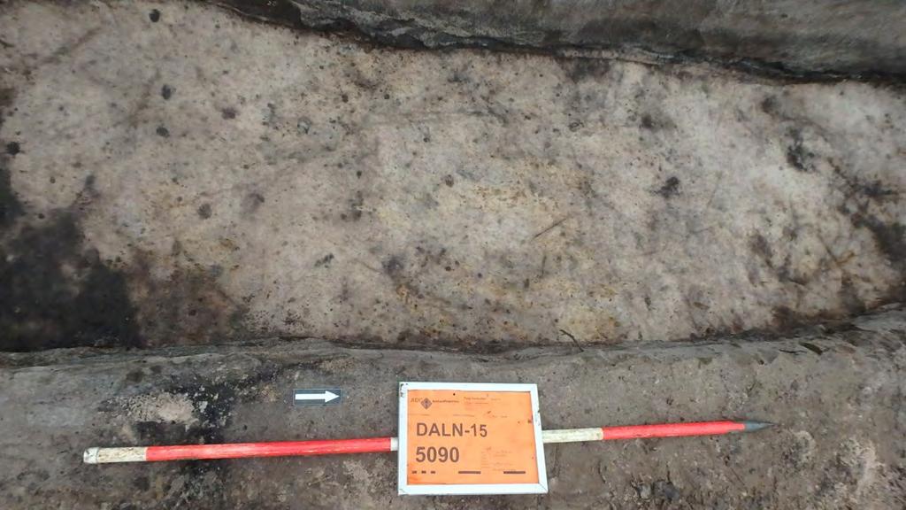 Ploegkrassen in de laagte Humeuze akkerlagen in het profiel Behalve het crematiegraf uit de Bronstijd zijn er verschillende sporen en vondsten uit de Late Bronstijd en Vroege IJzertijd tevoorschijn