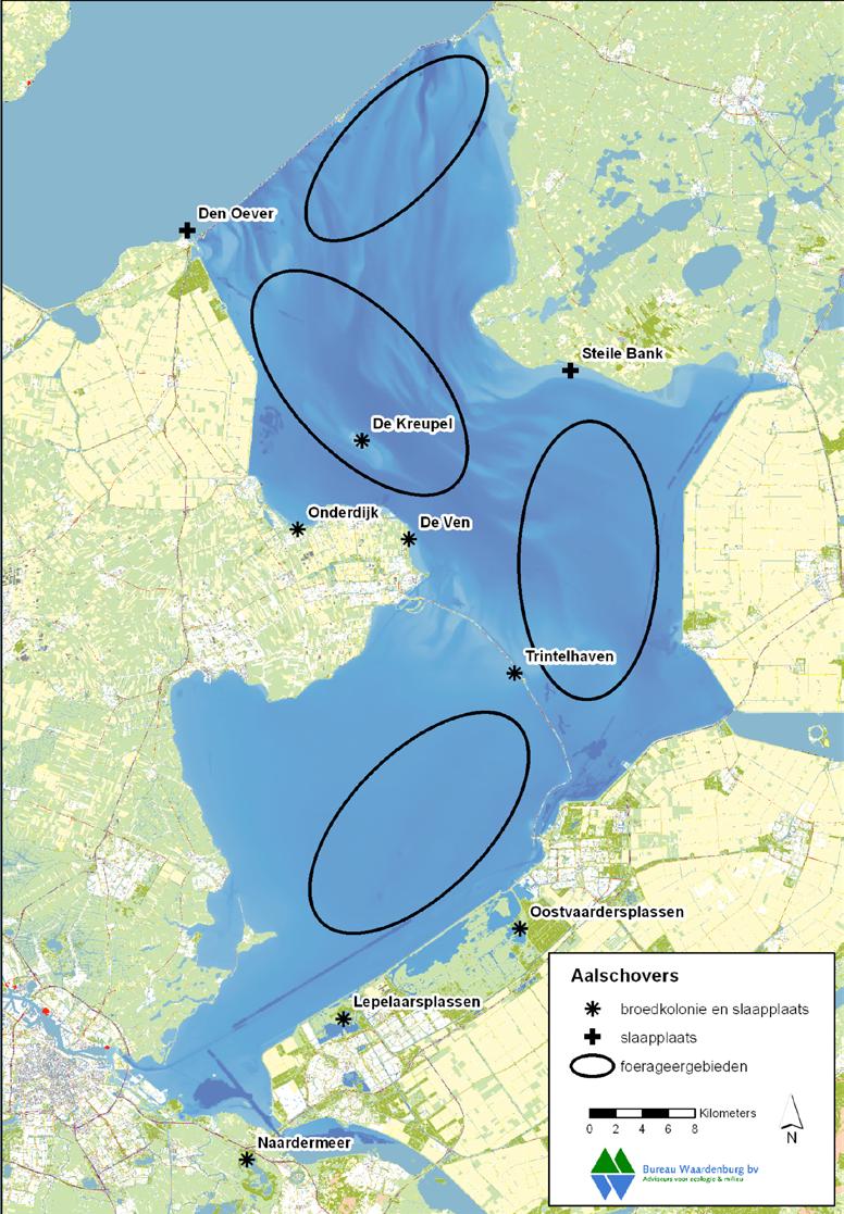 Ketelhaven Mogelijk overlap met verstoringsgevoelige gebieden en periodes IJsselmonding (juli t/m maart) Vossemeer (jaarrond) Figuur 5.