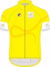 Jerseys after Stage 4 : Hardenberg - Hardenberg Yellow Jersey - General Classification 33 10009334515
