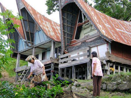 Dag 3. Brastagi - Samosir (Tobameer). Na ontbijt rijden we naar Parapat. Onderweg bezoeken we de Sipiso-Piso waterval, Rumah Bulon (Long House) en het oude paleis van de Batak Simulungun koningen.