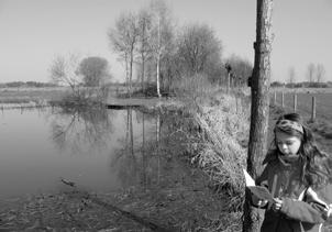 Post We ontvingen de leukste namen voor kikkers, padden en dril. Milou Vaes mailde dat in St. Odiliënberg een pad een kroddel is. Ook stuurde zij een mooie foto mee.