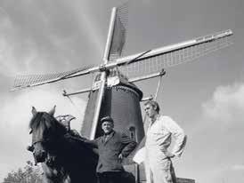 In 1921 kocht de familie Nijs de molen en tot 1974 zou altijd een Nijs-molenaar op De Nijverheid malen. Daardoor is molen in de volksmond bekend als de Nijsmolen.