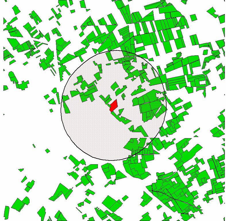 Figuur 6: Isolatieperimeter van 1000 m geïmplementeerd rond een willekeurig gekozen maïsperceel in het hok van 25 km² in Bocholt (groen = percelen met niet-transgene maïs; rood = perceel met