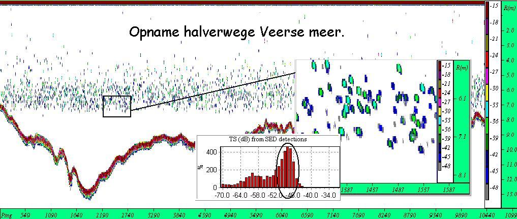 Figuur 7. Echogram van een sonar-transect in het Veerse Meer. Het omcirkelde deel van de staafdiagram komt overeen met de populatieopbouw (in db) van de jonge haring in de range van 7-13 cm.