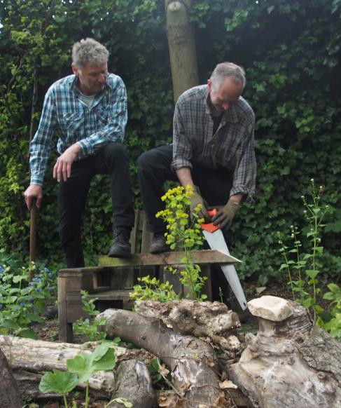 Tuinwerkzaamheden voor de komende maanden: De herfst is het ideale moment om heesters, bomen en