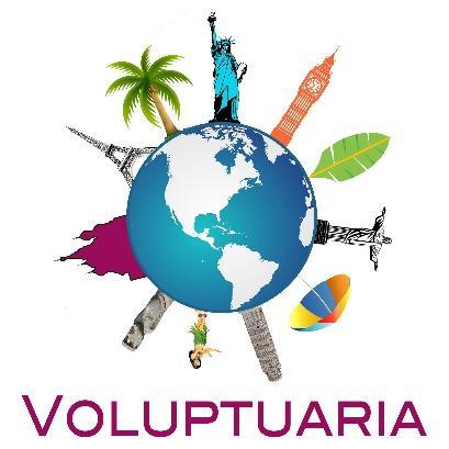 Studievereniging: Voluptuaria Wij, het bestuur en de leden van Voluptuaria zijn klaar om te knallen!