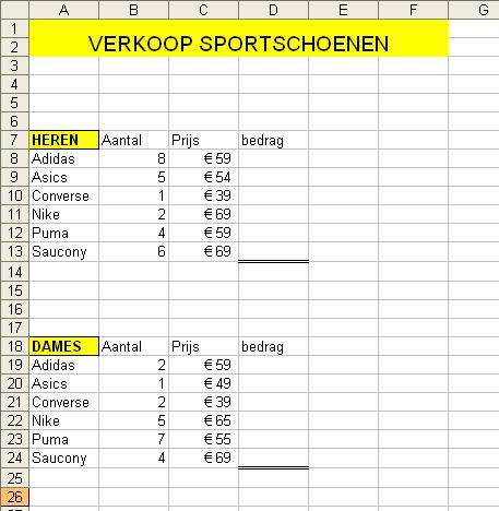 Opdracht 14 Open het bestand Januari 2010. Activeer het werkblad Schoenen Bereken in de cellen D8 t/m D13 en D19 t/m D24 met een formule de eindbedragen.