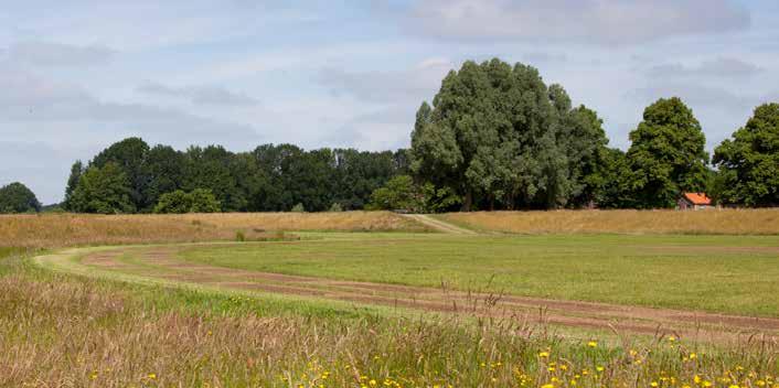 ONZE 10 Onze woningen 2030 Staphorst 23% Vastgoedstrategie We hebben in 2015 onze vastgoedstrategie voor de periode tot en met 2030 vastgesteld.