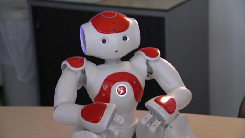 inzetbaar als leermiddel. Voor de NAO-robot hebben we kant en klare lessen waarbij leerlingen op eenvoudige wijze leren programmeren met een geweldig eindresultaat.