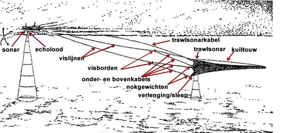 De allergrootste vriestrawler die momenteel vaart. ProSea De pelagische trawl kan op elke gewenste diepte in de waterkolom gebracht worden. Om dit te realiseren gebruikt men visborden.