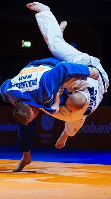 Om trots op te zijn.. De door sv Hagendoorn Rotterdam-Zuid opgeleide judoka Martin Schildmeijer heeft sinds 1 oktober 2017 alle mogelijke Nederlandse titels binnengehaald.