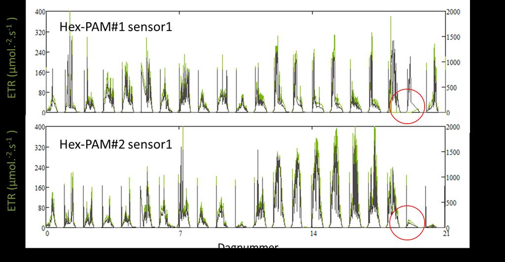 7.4. Verloop van lokale PAR en ETR van sensor 1 (in de kop van het gewas) in de HNT proef (boven) en in de referentiekas (onder) In de periode 23 mei t/m 12 juni 2015.