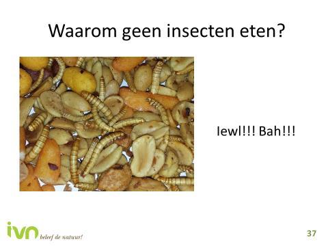 Dia 37 Waarom zou je geen insecten eten? Insecten zijn duurzaam om te eten en misschien wel het voedsel van de toekomst.